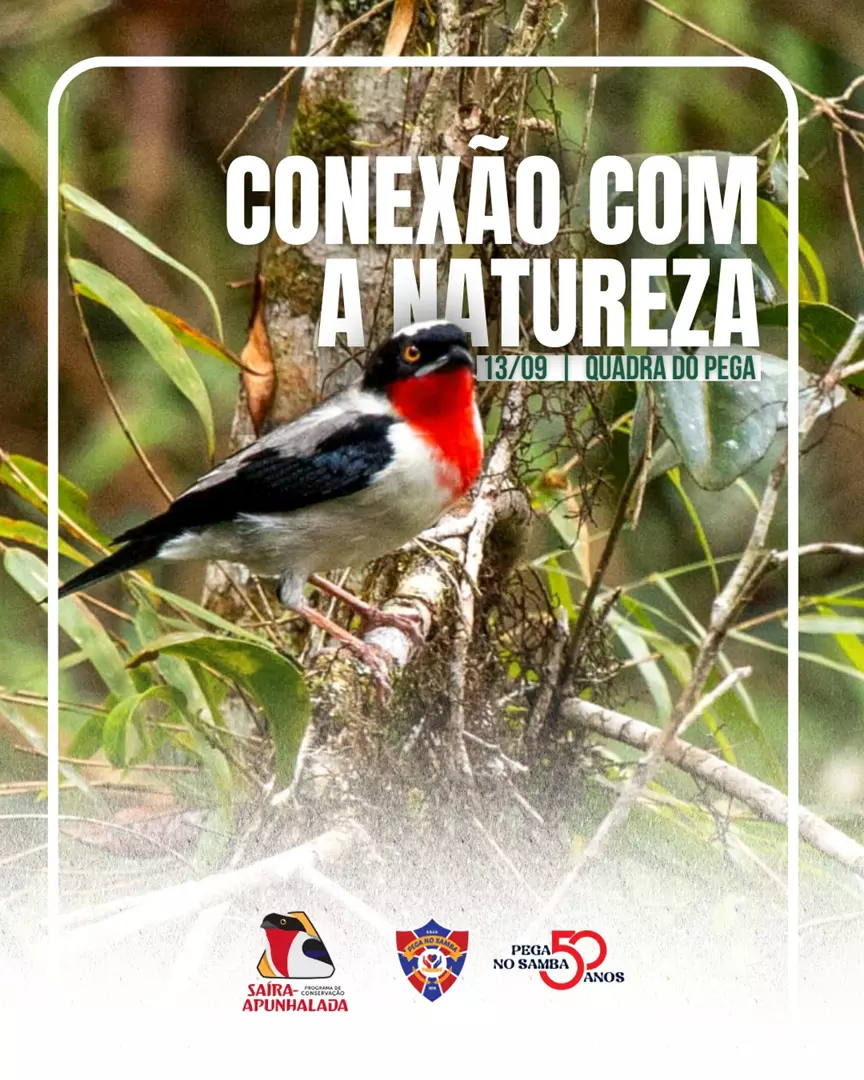 PEGA NO SAMBA, EDUCAÇÃO E PRESERVAÇÃO ANDAM JUNTOS NO CARNAVAL DE VITÓRIA -ES